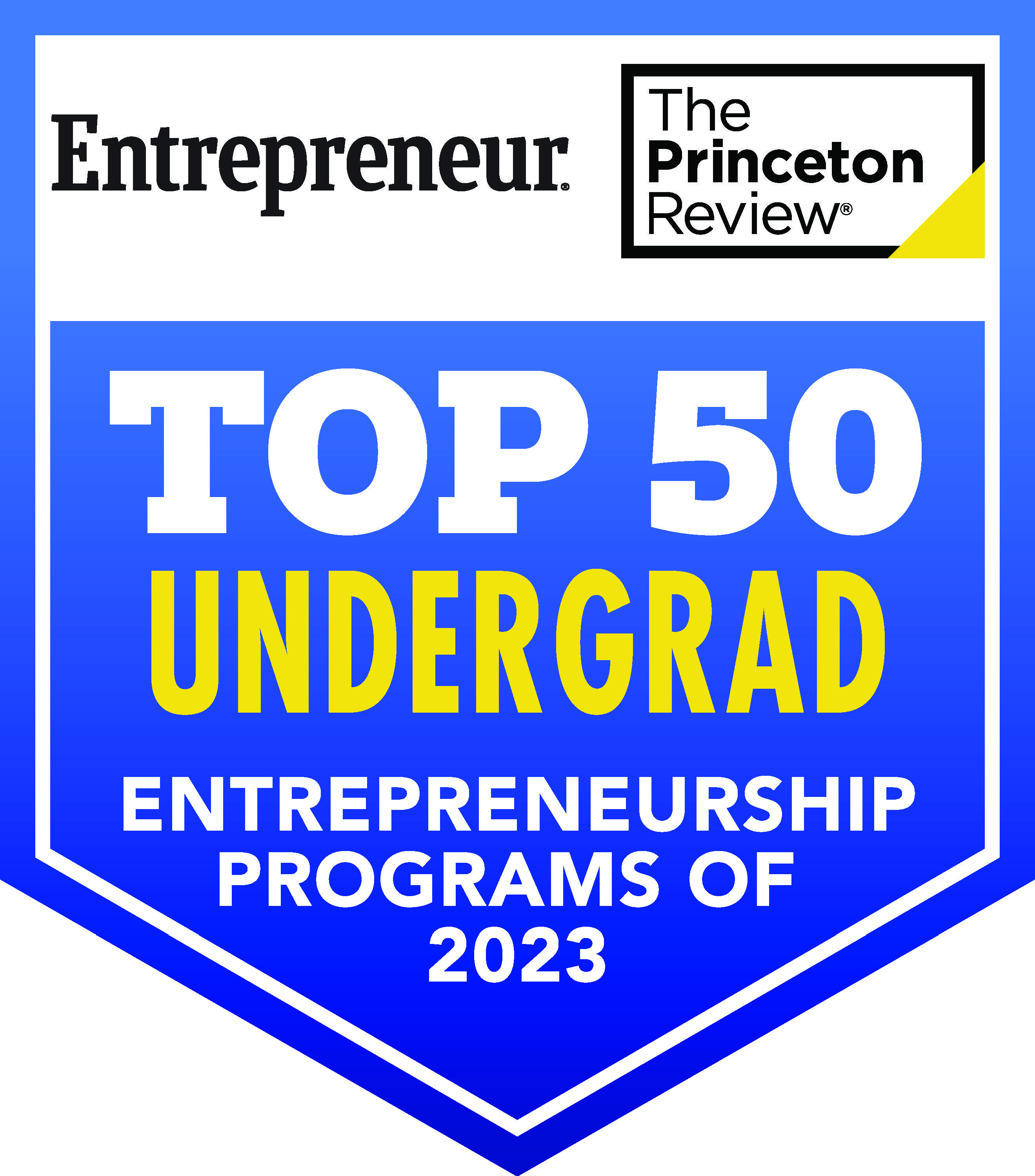 Princeton Review Top 10 Undergraduate Programs